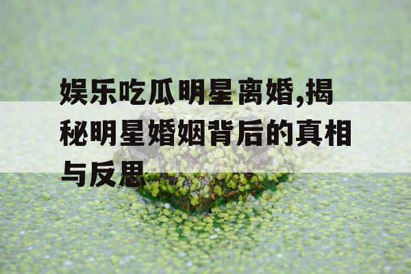 娱乐吃瓜明星离婚,揭秘明星婚姻背后的真相与反思