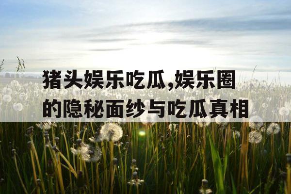 猪头娱乐吃瓜,娱乐圈的隐秘面纱与吃瓜真相