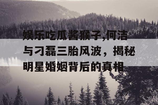 娱乐吃瓜酱猴子,何洁与刁磊三胎风波，揭秘明星婚姻背后的真相