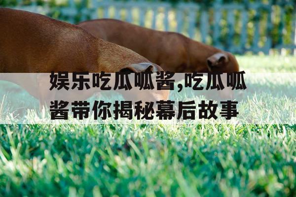 娱乐吃瓜呱酱,吃瓜呱酱带你揭秘幕后故事