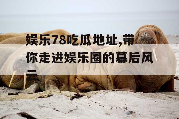 娱乐78吃瓜地址,带你走进娱乐圈的幕后风云