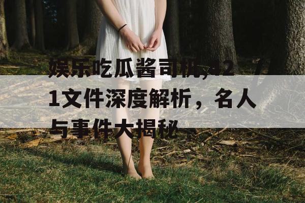 娱乐吃瓜酱司机,421文件深度解析，名人与事件大揭秘