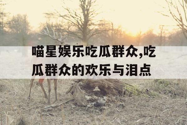 喵星娱乐吃瓜群众,吃瓜群众的欢乐与泪点