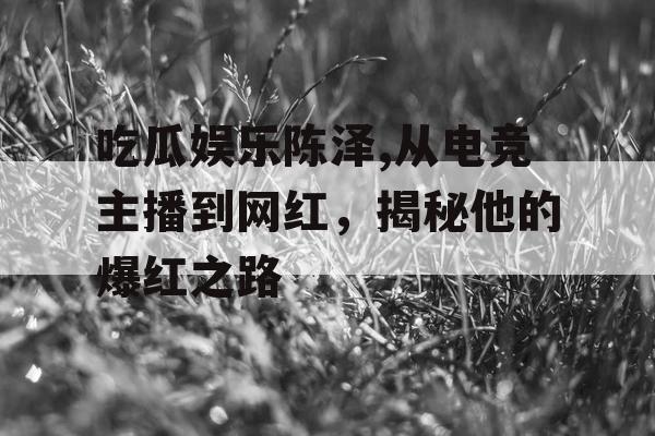 吃瓜娱乐陈泽,从电竞主播到网红，揭秘他的爆红之路