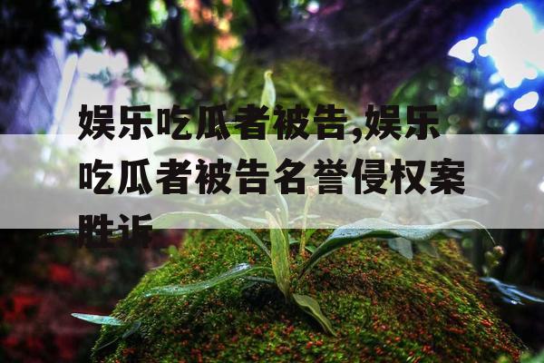 娱乐吃瓜者被告,娱乐吃瓜者被告名誉侵权案胜诉