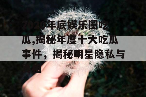 2020年底娱乐圈吃瓜,揭秘年度十大吃瓜事件，揭秘明星隐私与真相