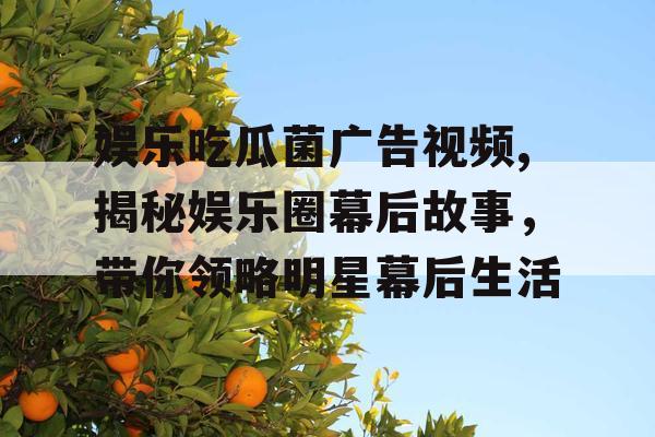 娱乐吃瓜菌广告视频,揭秘娱乐圈幕后故事，带你领略明星幕后生活