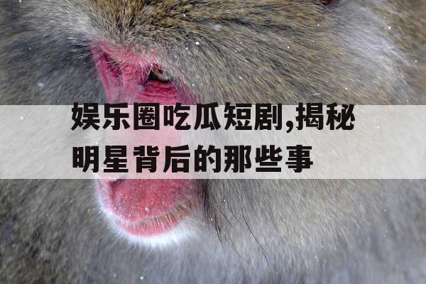 娱乐圈吃瓜短剧,揭秘明星背后的那些事