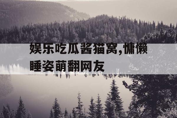 娱乐吃瓜酱猫窝,慵懒睡姿萌翻网友