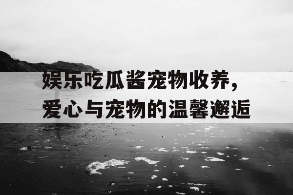 娱乐吃瓜酱宠物收养,爱心与宠物的温馨邂逅