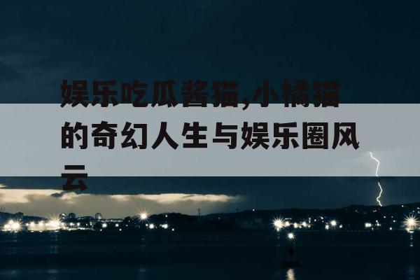 娱乐吃瓜酱猫,小橘猫的奇幻人生与娱乐圈风云