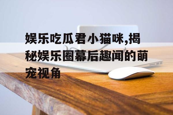 娱乐吃瓜君小猫咪,揭秘娱乐圈幕后趣闻的萌宠视角