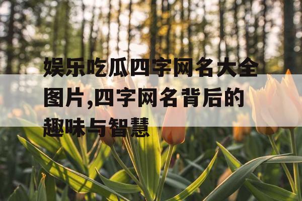 娱乐吃瓜四字网名大全图片,四字网名背后的趣味与智慧