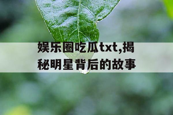 娱乐圈吃瓜txt,揭秘明星背后的故事